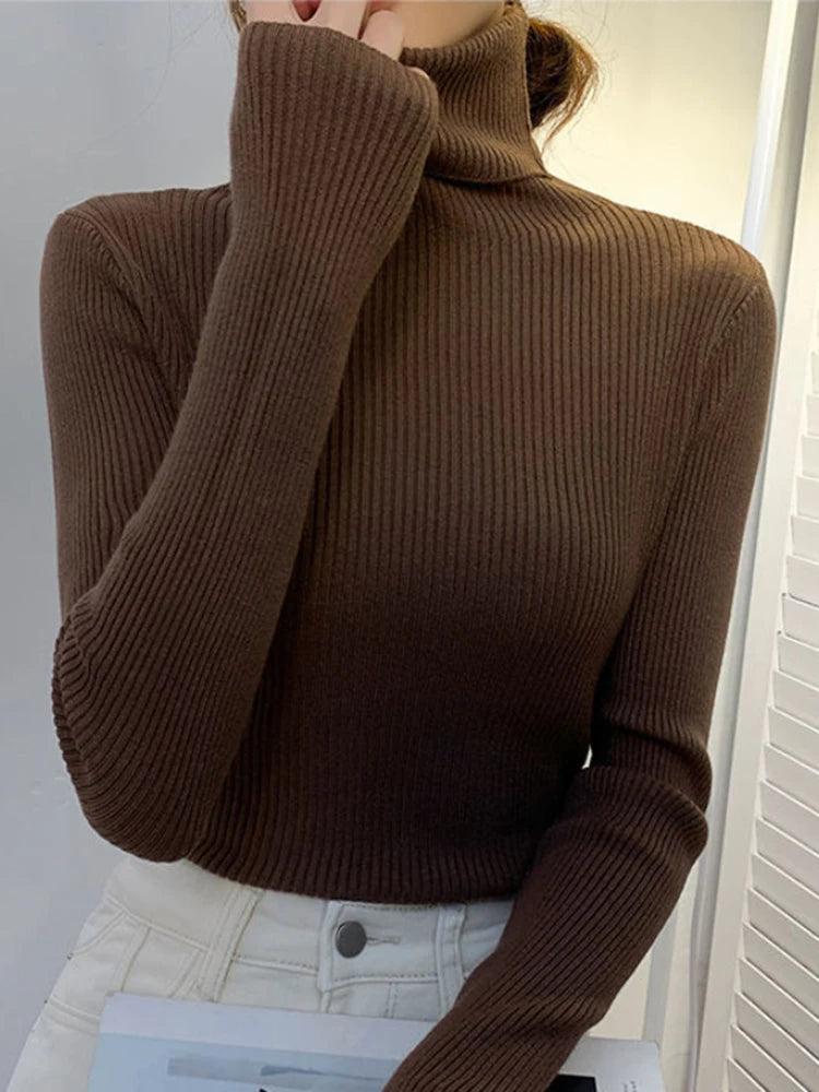 Pull chaud à col roulé montant